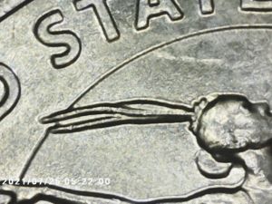 2023-P-Washington-Quarter-Odd-Die-Chips-On-Feathers